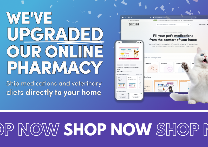 Carousel Slide 2: Humble online veterinary pharmacy